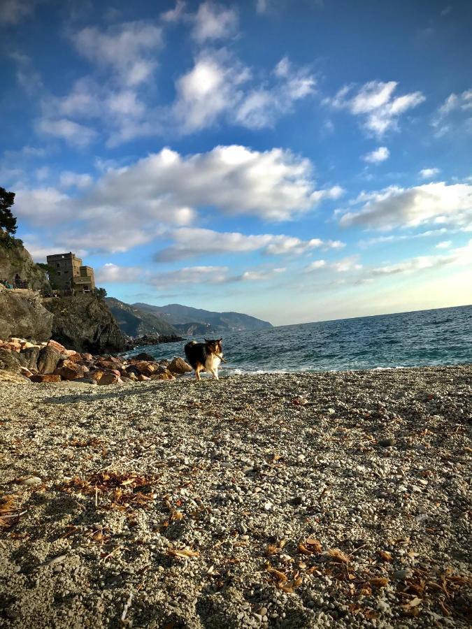 Ca Lea Beach House Μοντερόσο αλ Μάρε Εξωτερικό φωτογραφία